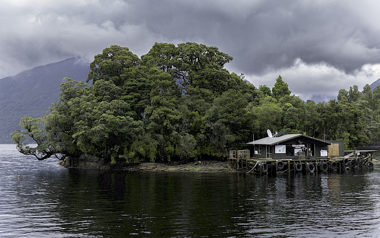 Blanket Bay Fiordland